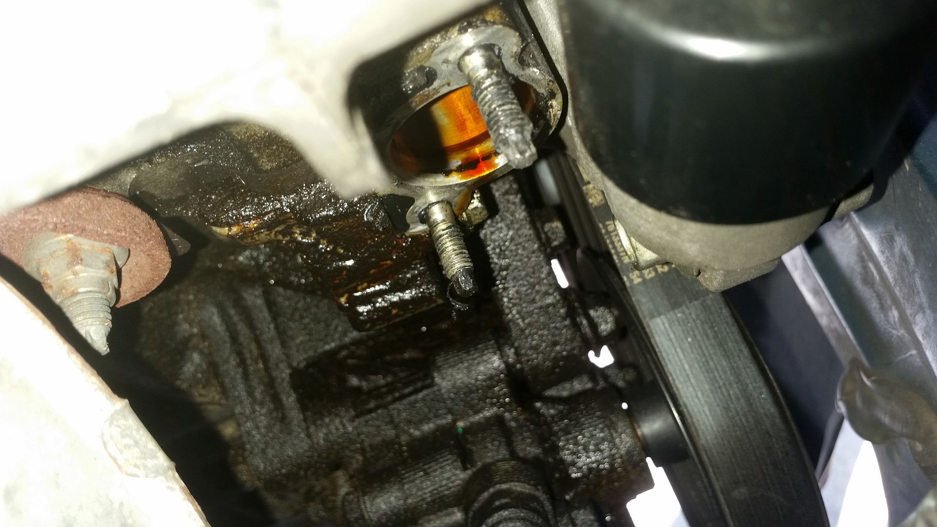 DIY 20032008 Corolla, Matrix, Pontiac Vibe 1ZZFE Timing Chain